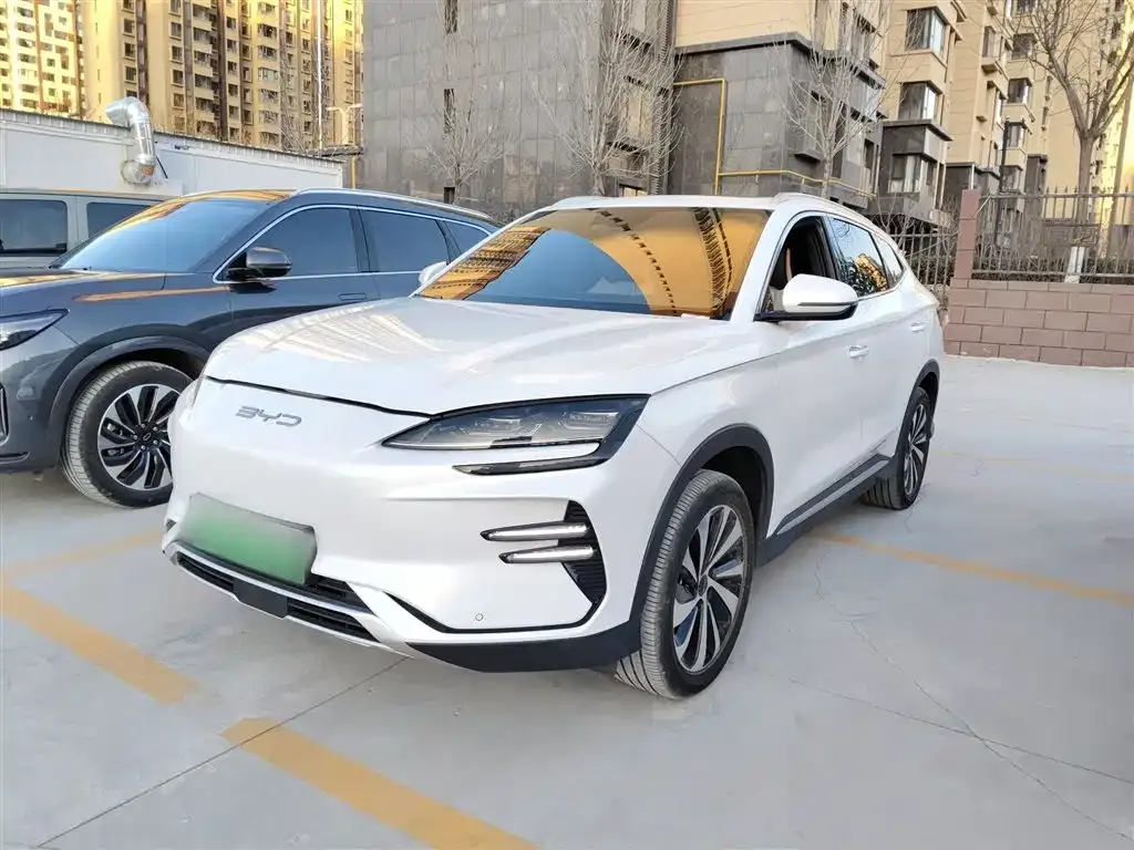 BYD PLUS New Energy — фото 4