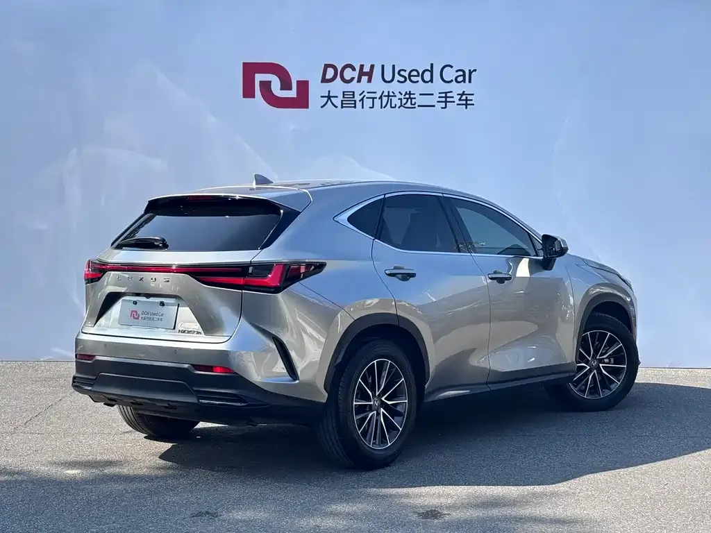 Lexus NX 2022 из CN, фото 9