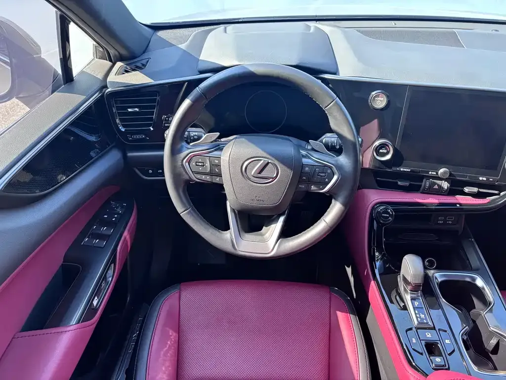 Lexus NX 2022 из CN, фото 6