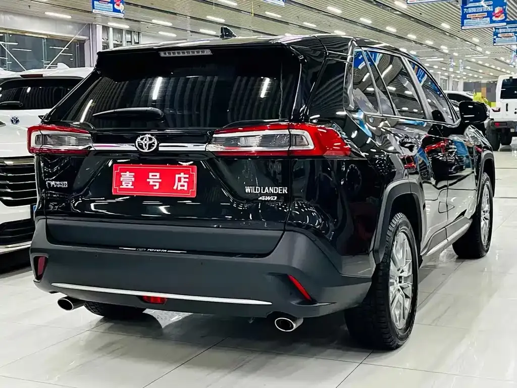 Toyota Wildlander 2022 из CN, фото 9