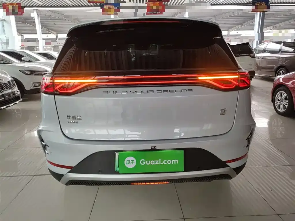 BYD Tang New Energy 2025 из CN, фото 10