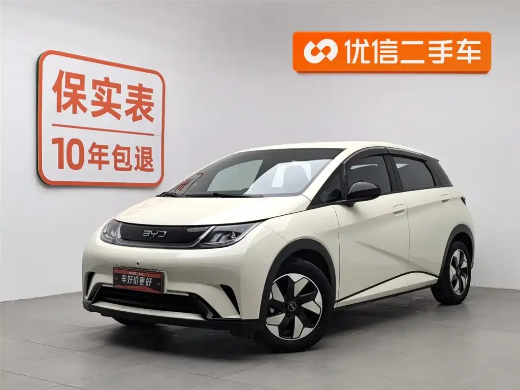 BYD Dolphin 2025 из CN, фото 1