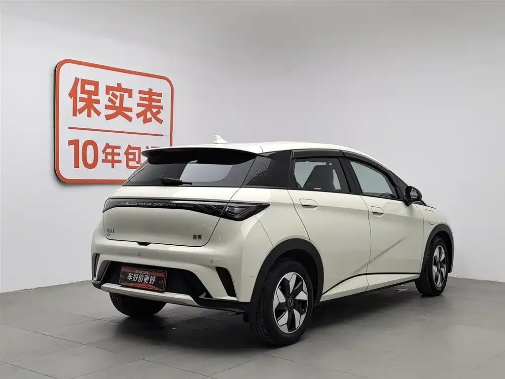 BYD Dolphin 2025 из CN, фото 2