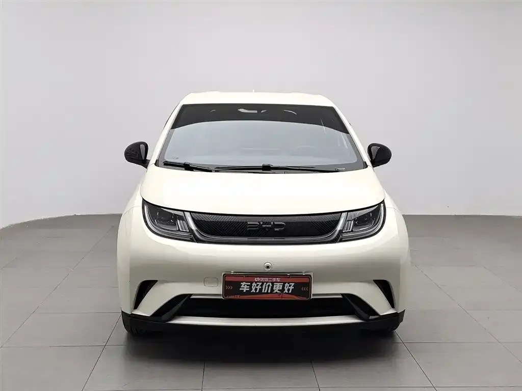 BYD Dolphin 2025 из CN, фото 3