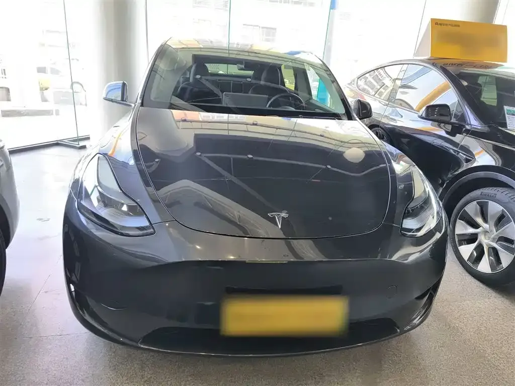 Tesla Model Y — фото 2