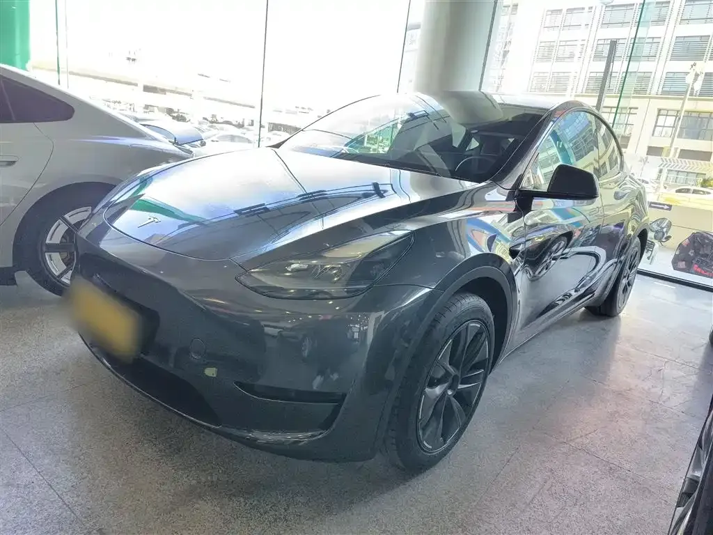 Tesla Model Y — фото 10