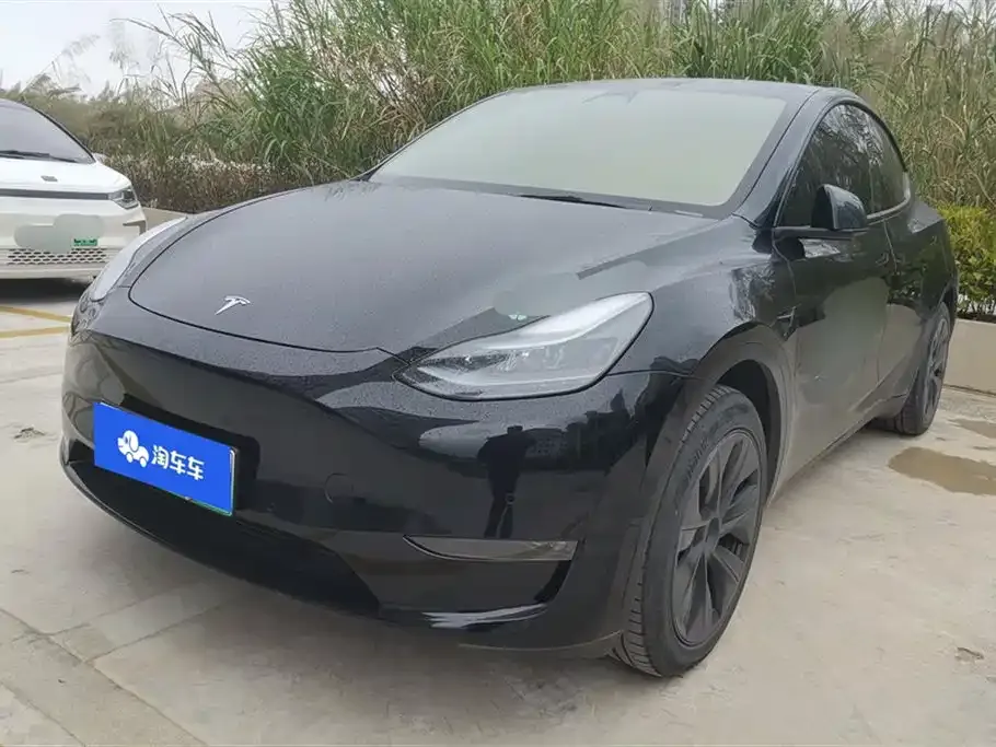 Tesla Model Y — фото 1