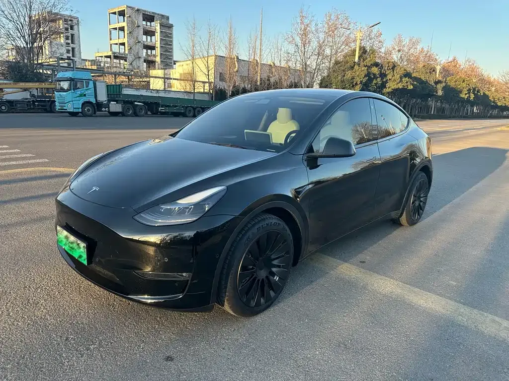 Tesla Model Y 2021 из CN, фото 1