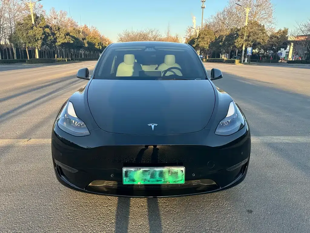 Tesla Model Y 2021 из CN, фото 5