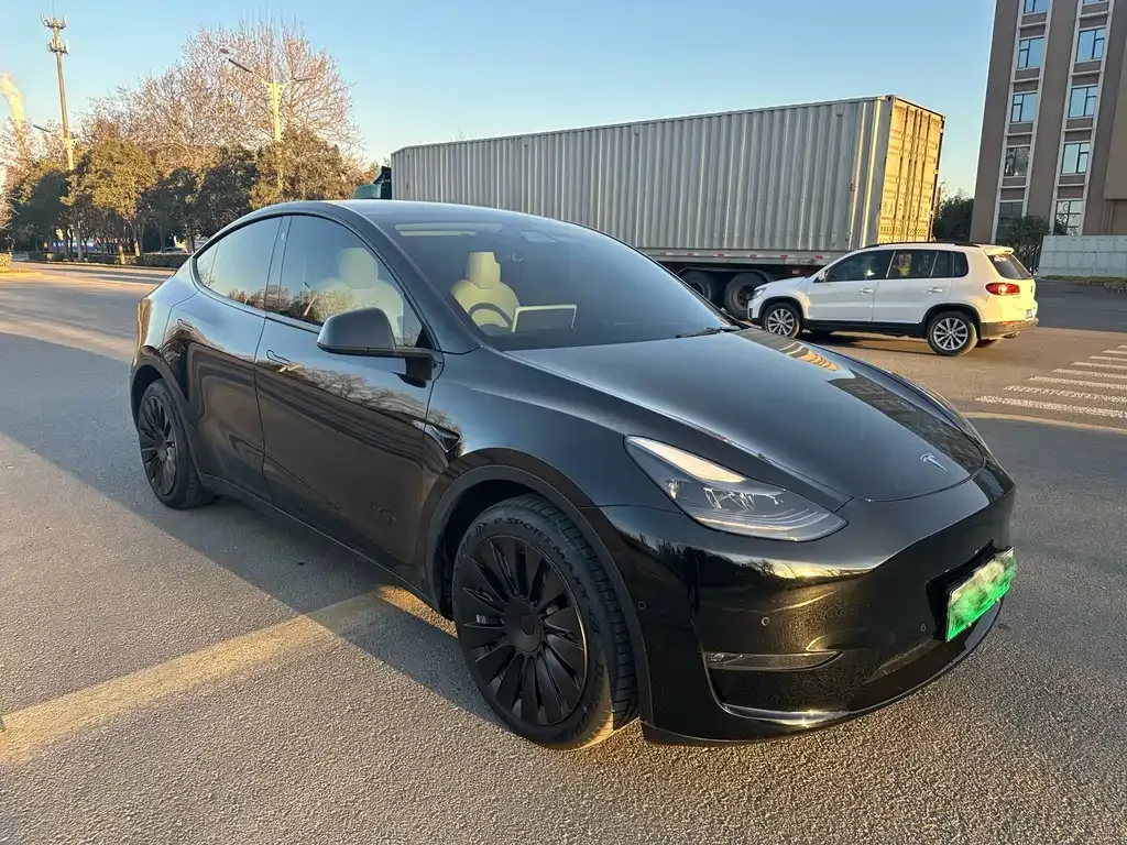 Tesla Model Y 2021 из CN, фото 9