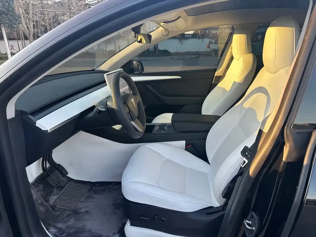 Tesla Model Y 2021 из CN, фото 8