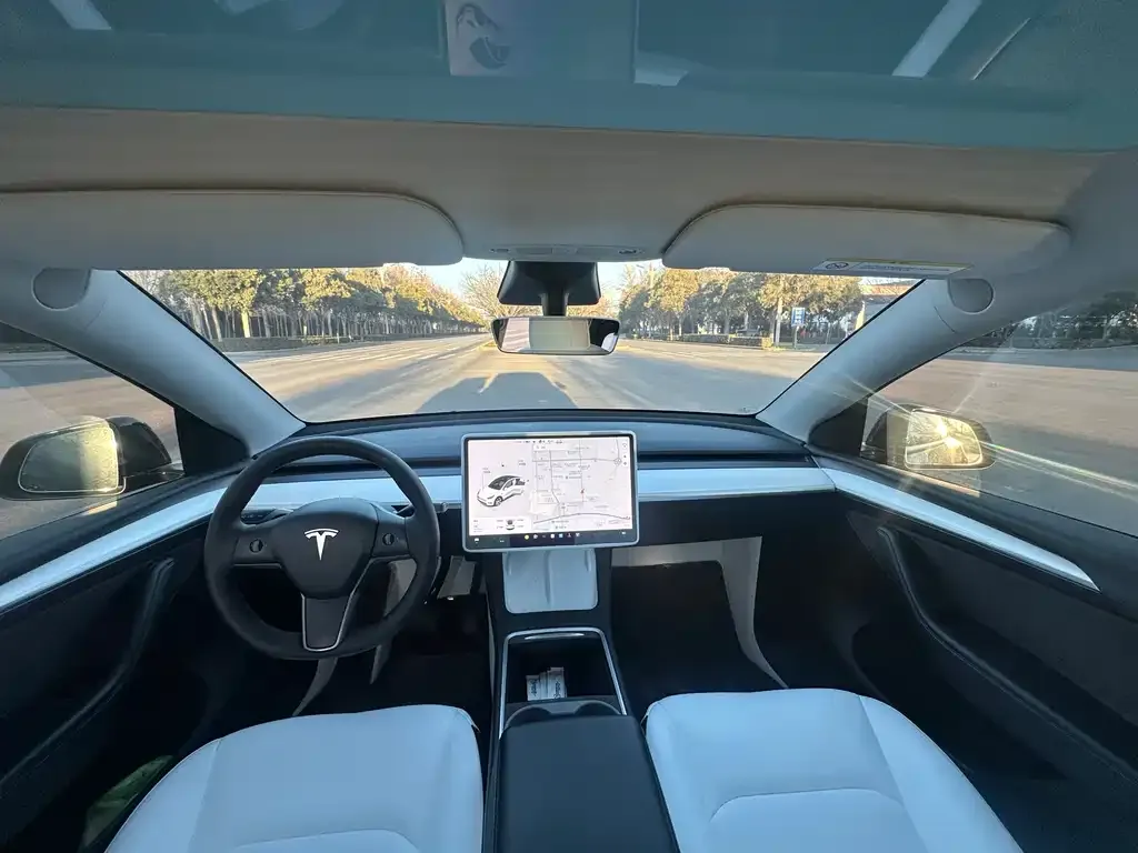 Tesla Model Y 2021 из CN, фото 6