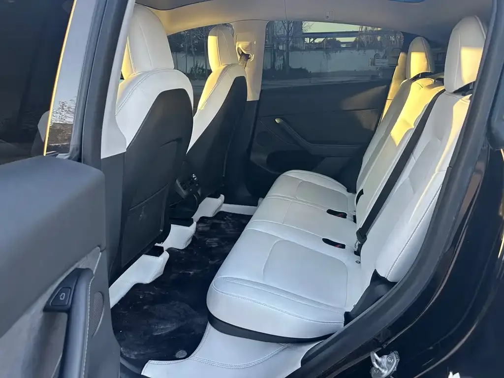 Tesla Model Y 2021 из CN, фото 3