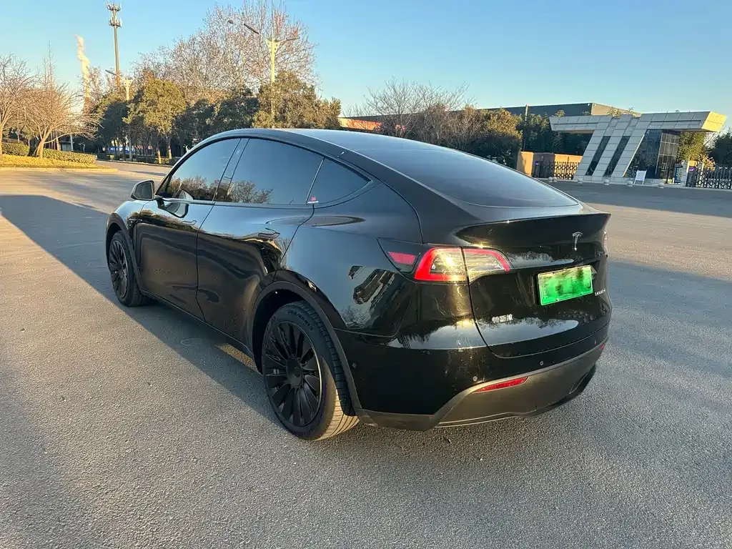 Tesla Model Y 2021 из CN, фото 7