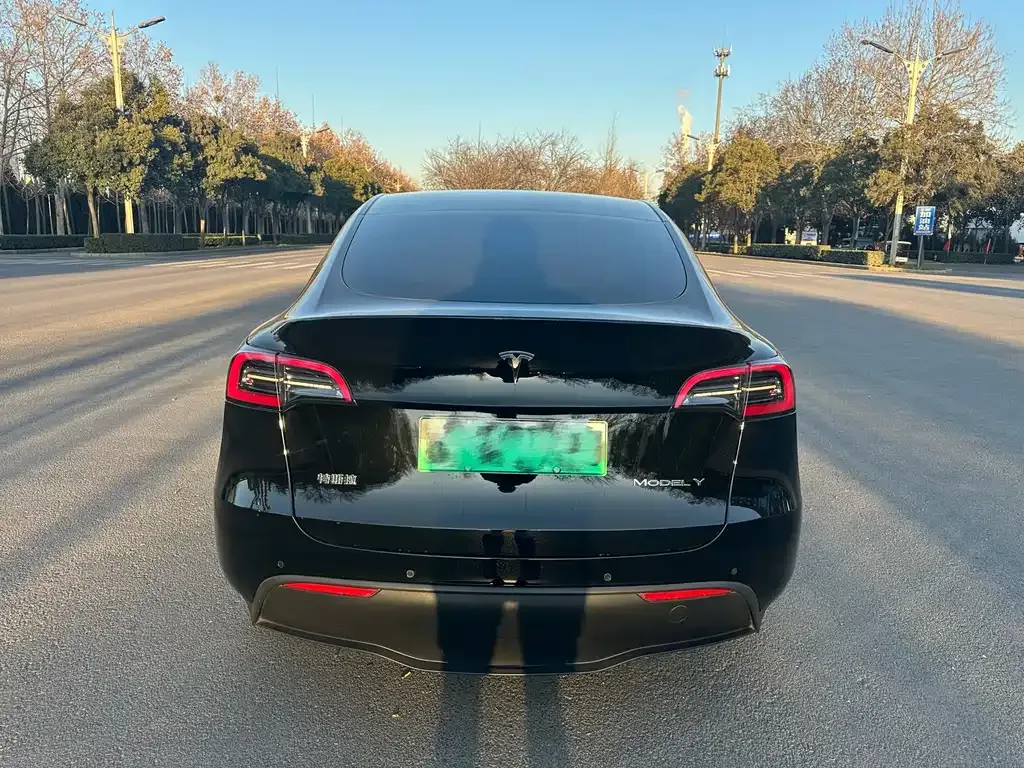 Tesla Model Y 2021 из CN, фото 2