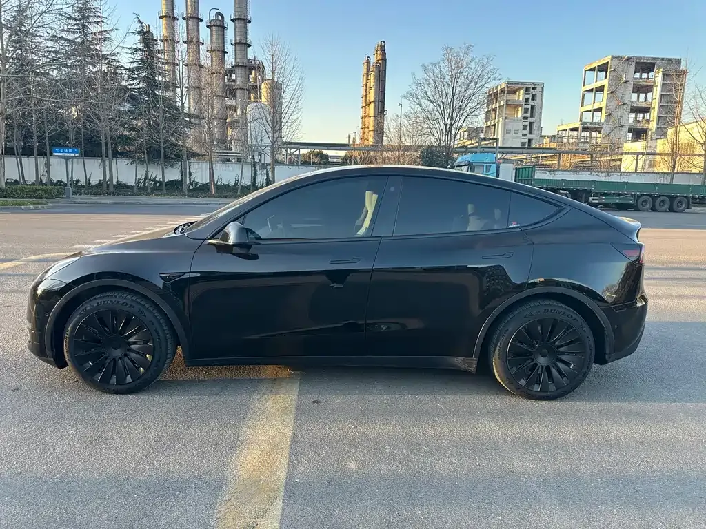 Tesla Model Y 2021 из CN, фото 4