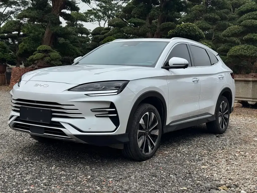 BYD PLUS New Energy — фото 1