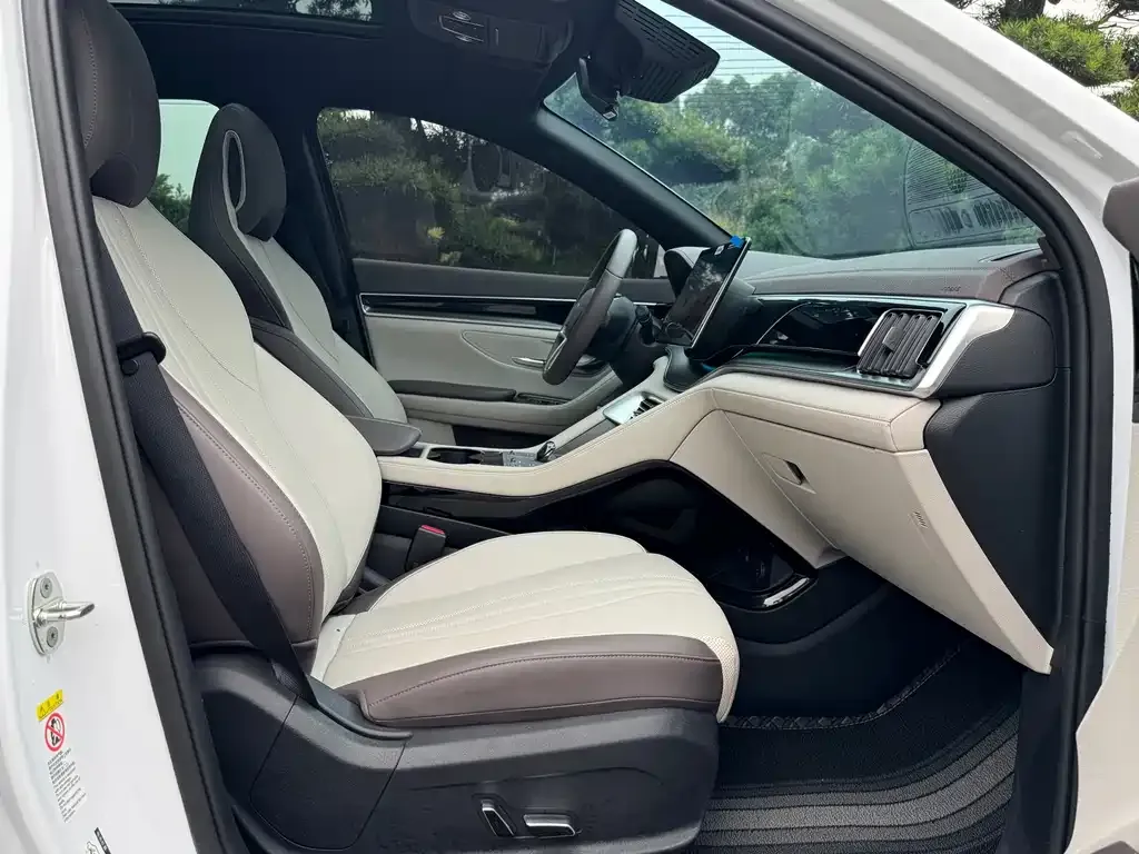 BYD PLUS New Energy — фото 10