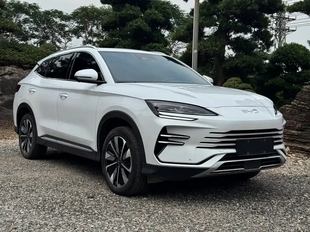 BYD PLUS New Energy — фото 3