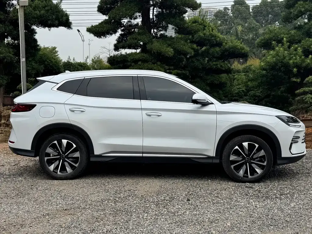 BYD PLUS New Energy — фото 4