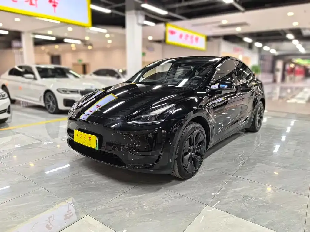 Tesla Model Y 2023 из CN, фото 5