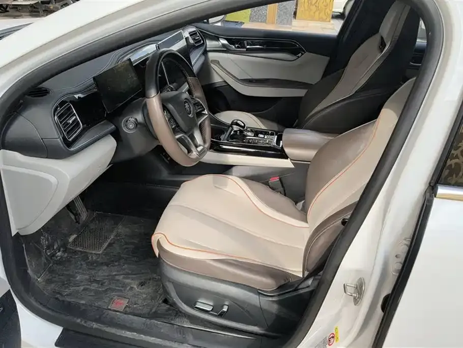 BYD Qin PLUS — фото 10