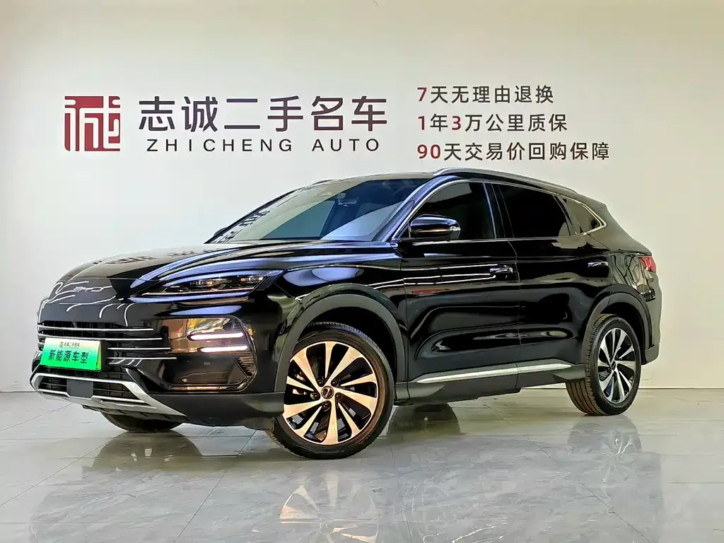 BYD PLUS New Energy — фото 1
