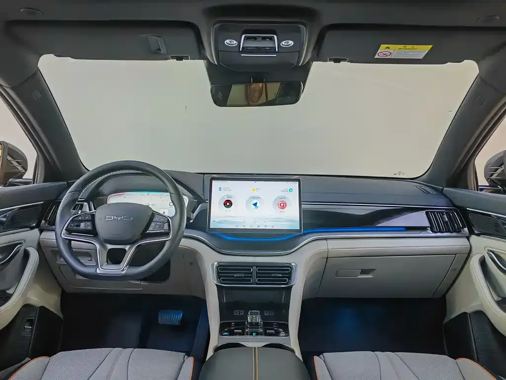 BYD PLUS New Energy — фото 10