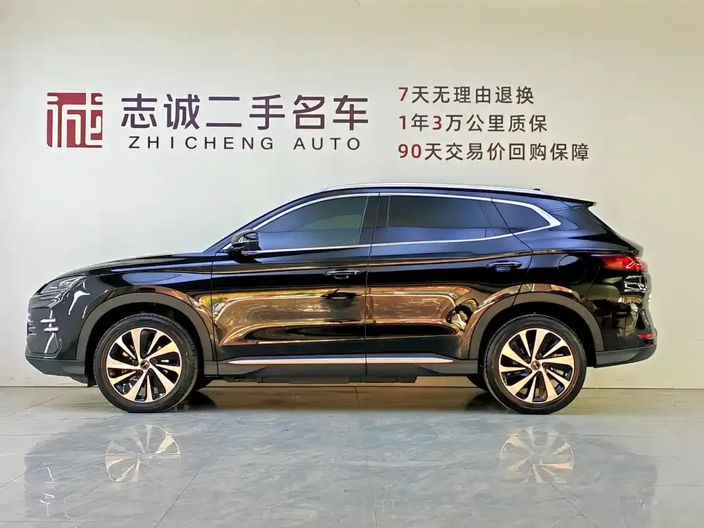 BYD PLUS New Energy — фото 3