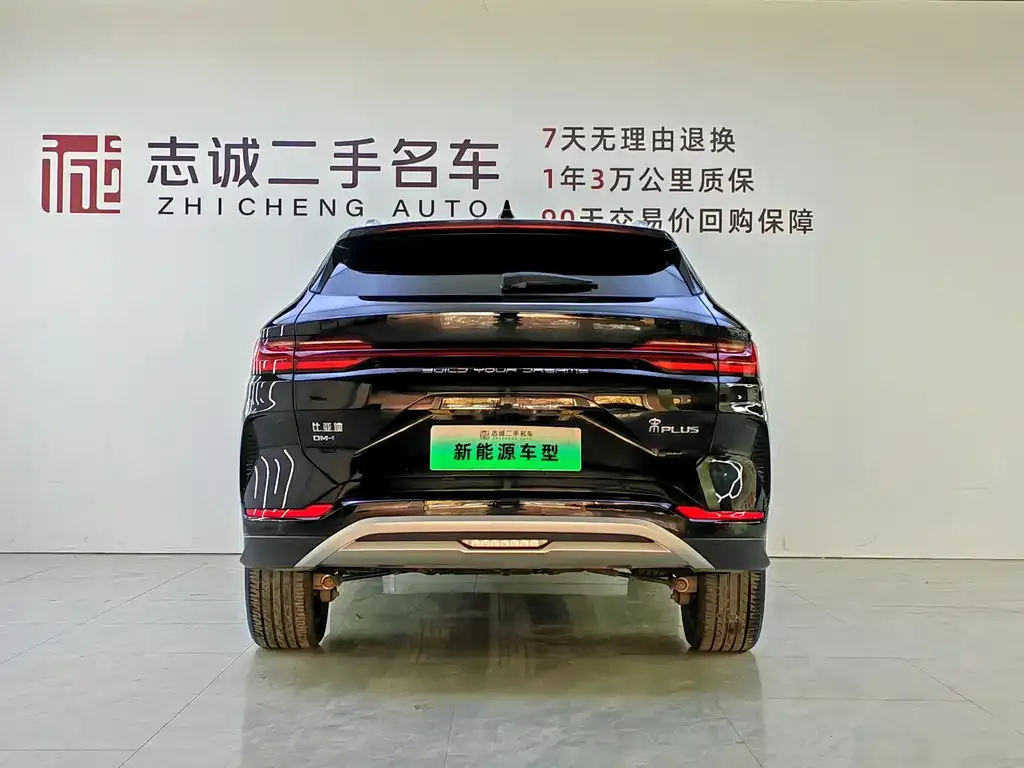 BYD PLUS New Energy — фото 4