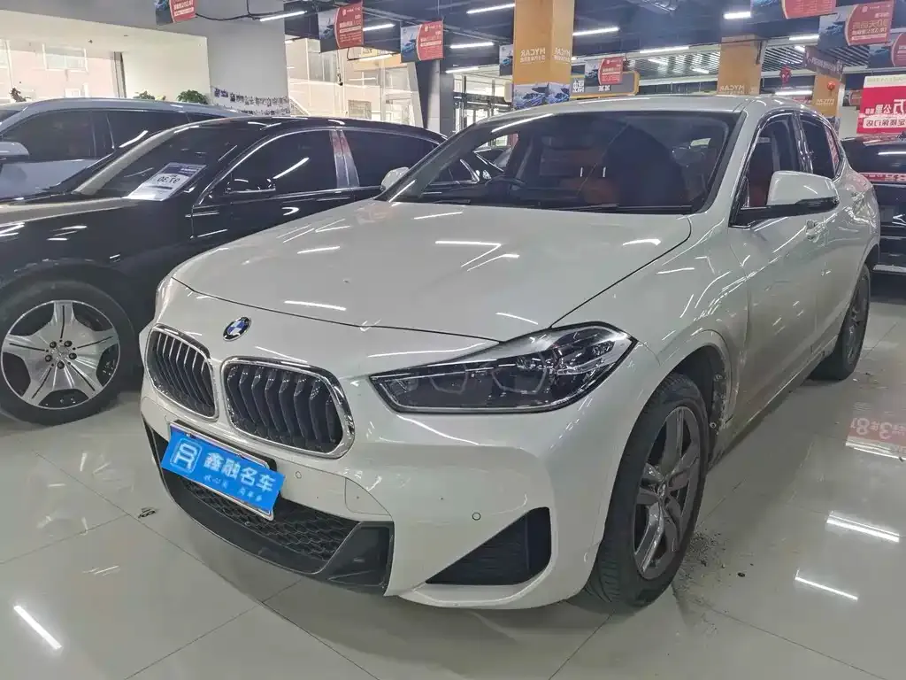 BMW X2 2022 из CN, фото 1