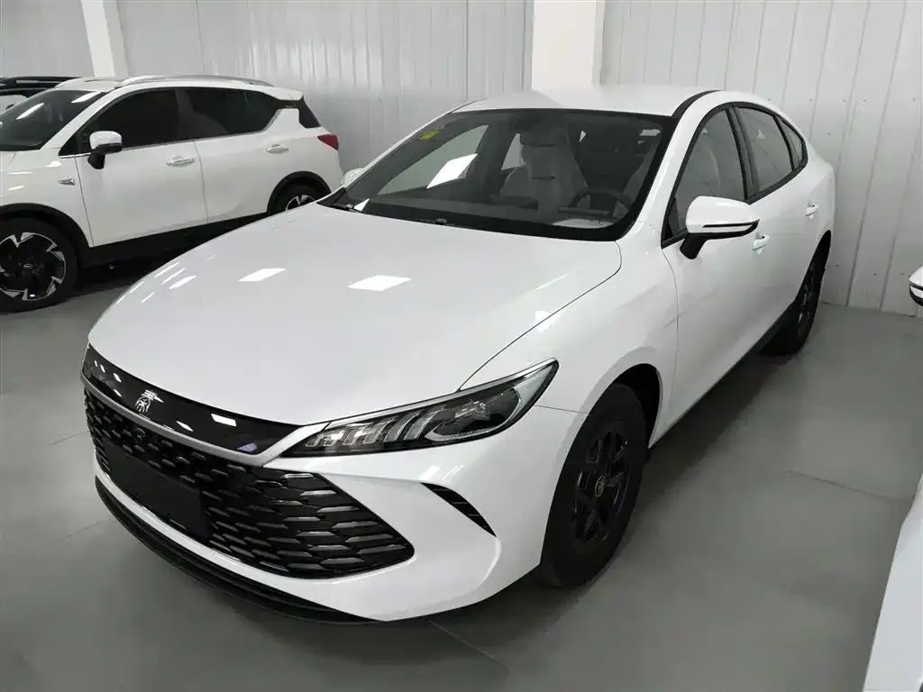 BYD Qin PLUS 2025 из CN, фото 1