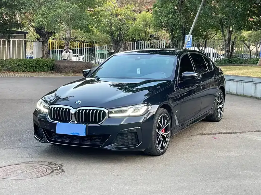 BMW 5 Series 2022 из CN, фото 9