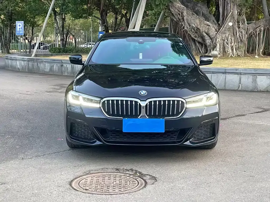 BMW 5 Series 2022 из CN, фото 7