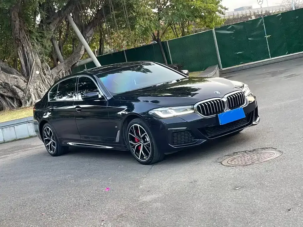 BMW 5 Series 2022 из CN, фото 8