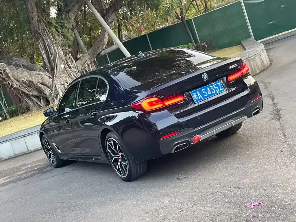 BMW 5 Series 2022 из CN, фото 10