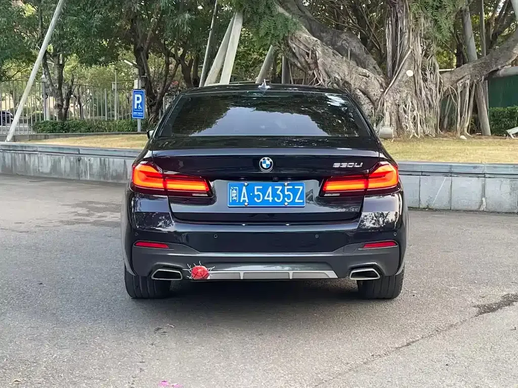 BMW 5 Series 2022 из CN, фото 5