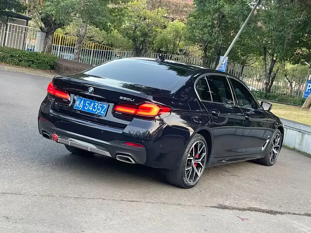 BMW 5 Series 2022 из CN, фото 6