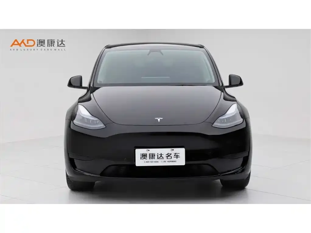 Tesla Model Y — фото 8