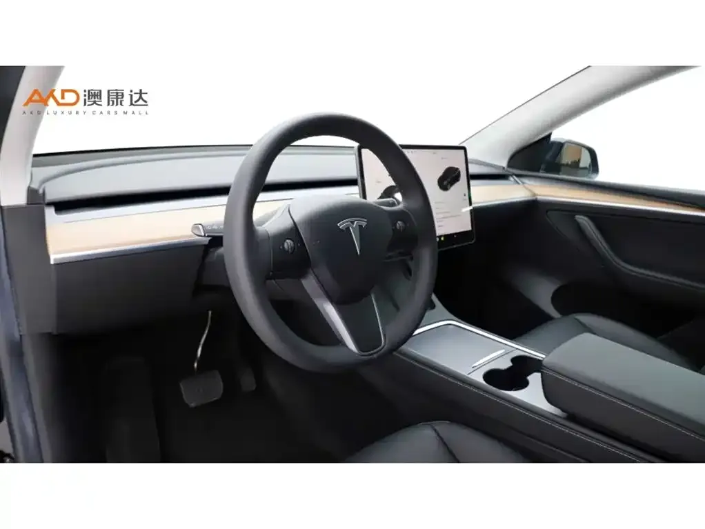 Tesla Model Y — фото 9