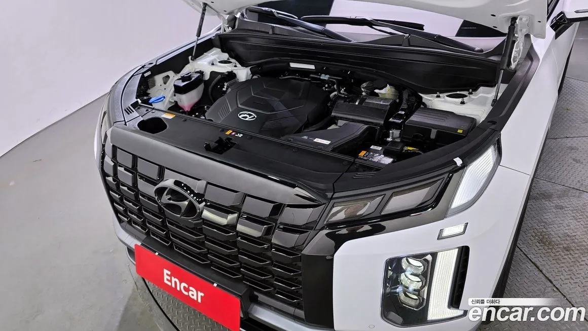 [object Object] Palisade 2024 из KR, фото 6