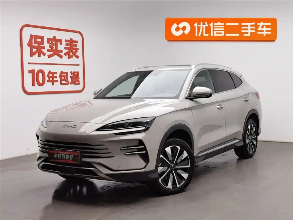 BYD PLUS New Energy 2024 из CN, фото 1