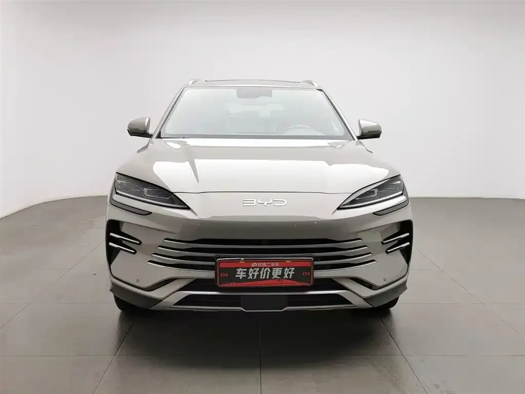 BYD PLUS New Energy 2024 из CN, фото 3