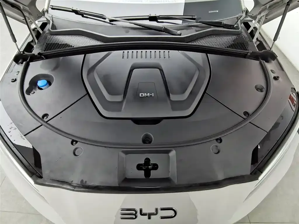BYD PLUS New Energy 2024 из CN, фото 9