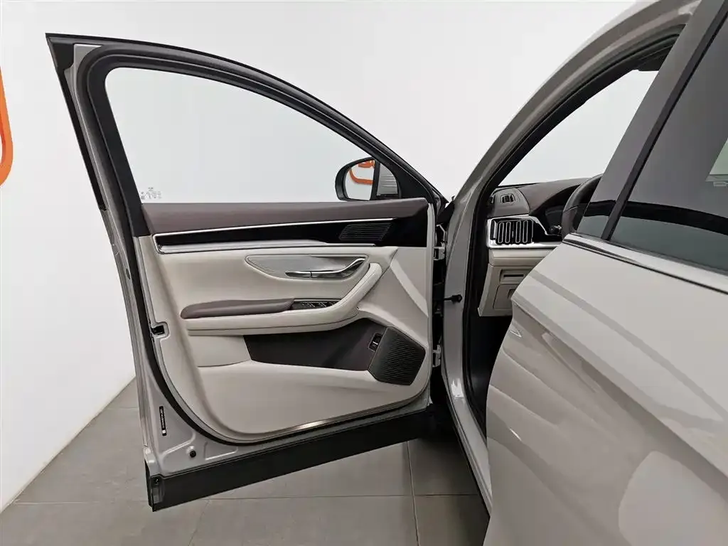 BYD PLUS New Energy 2024 из CN, фото 2