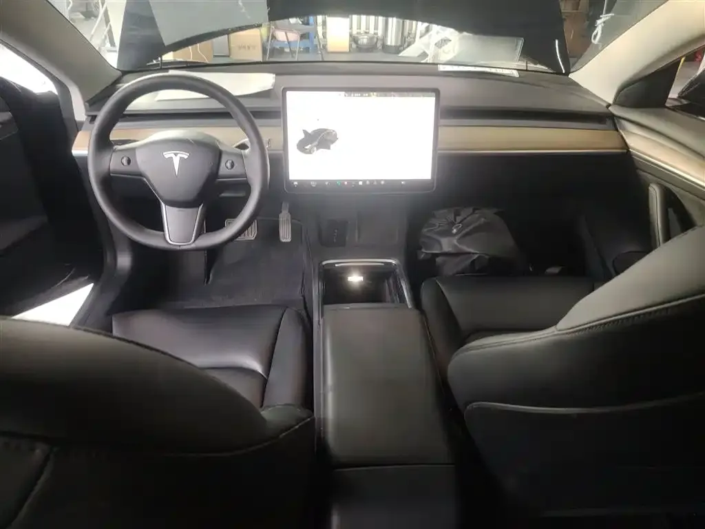 Tesla Model 3 2021 из CN, фото 10