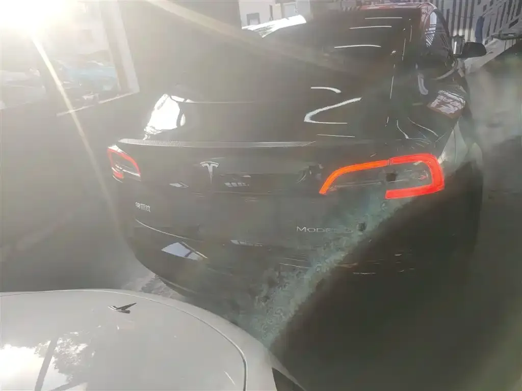 Tesla Model 3 2021 из CN, фото 6