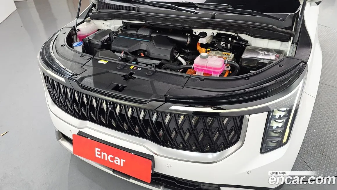 Kia Carnival — фото 10