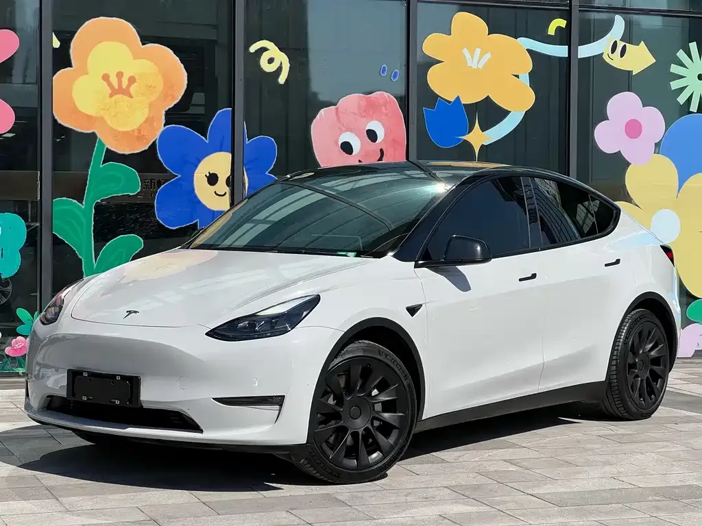Tesla Model Y 2021 из CN, фото 1
