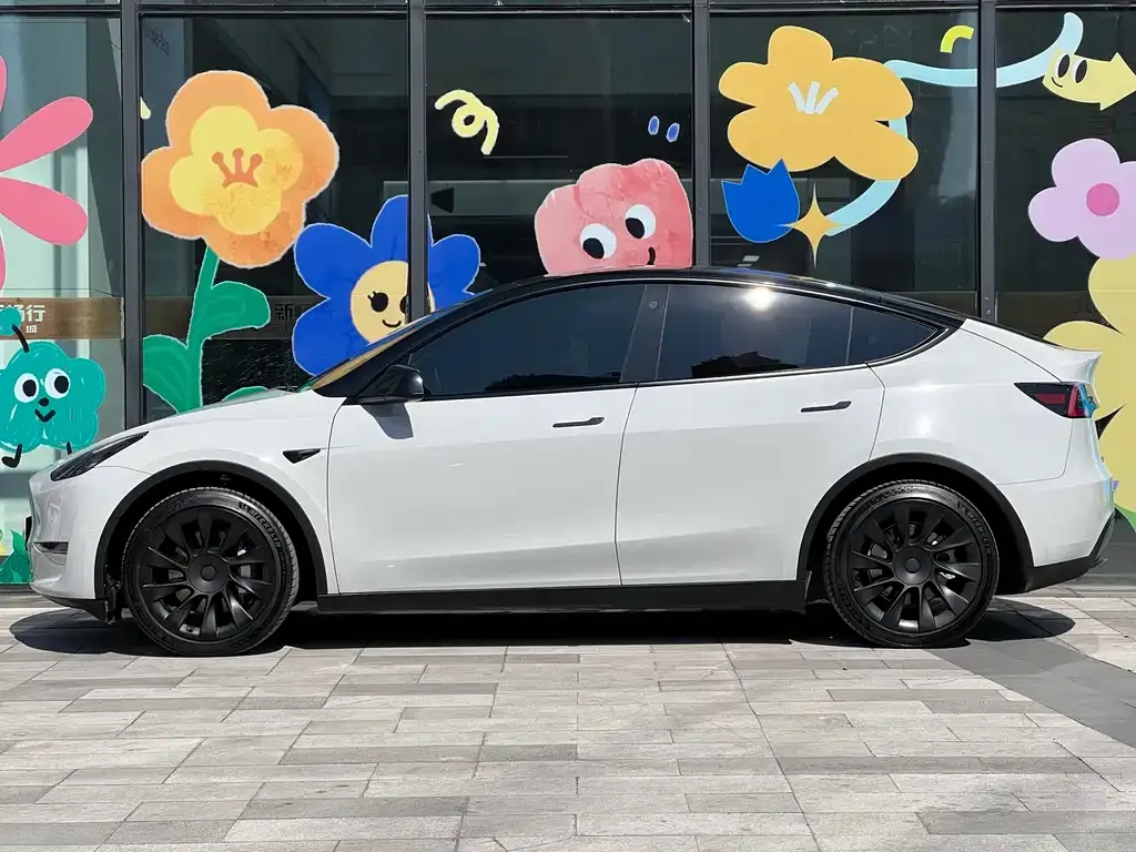 Tesla Model Y 2021 из CN, фото 2